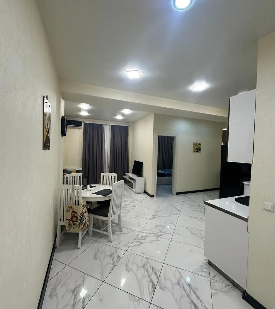 Apartment Near Saakadze Square, Centre Of 第比利斯