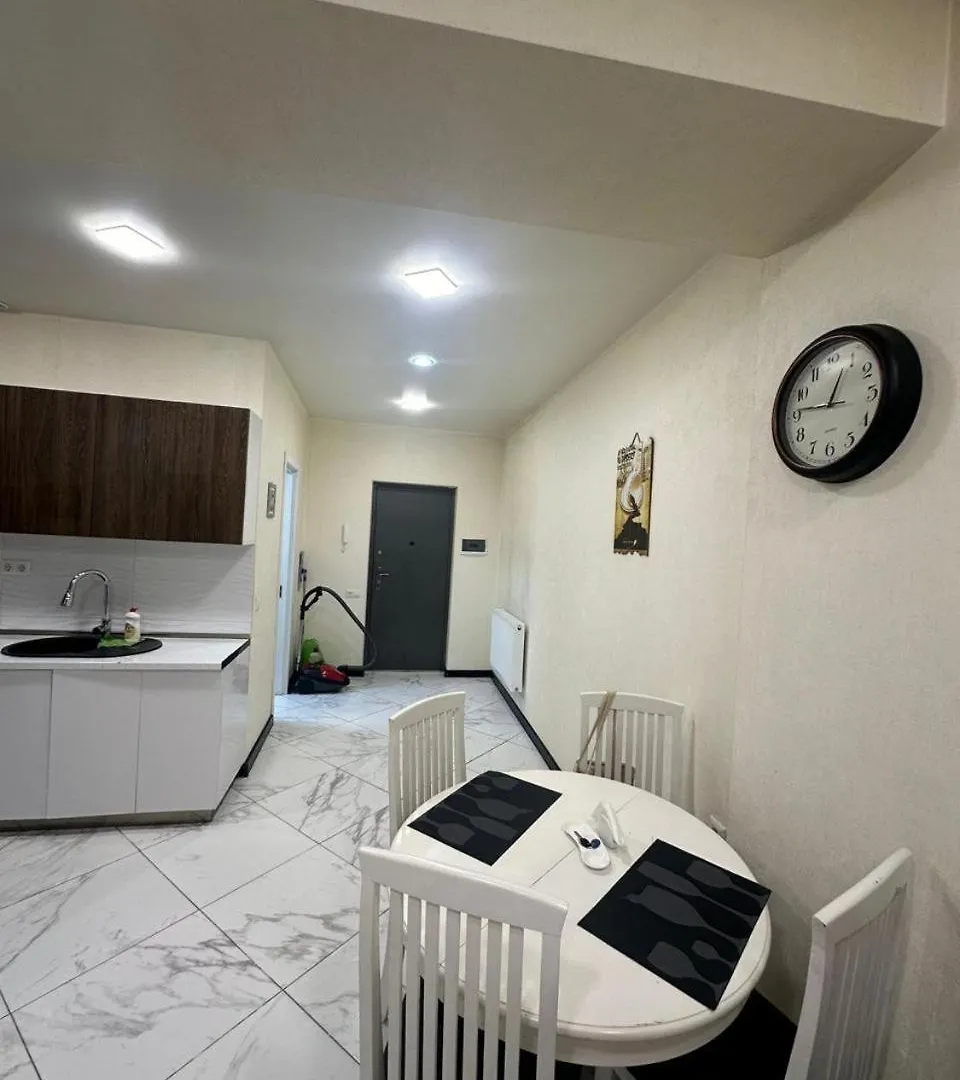 Apartment Near Saakadze Square, Centre Of 第比利斯 格鲁吉亚